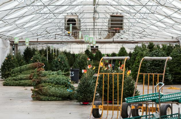 Preparing for the Holiday Season with Christmas Tree Tying Twine